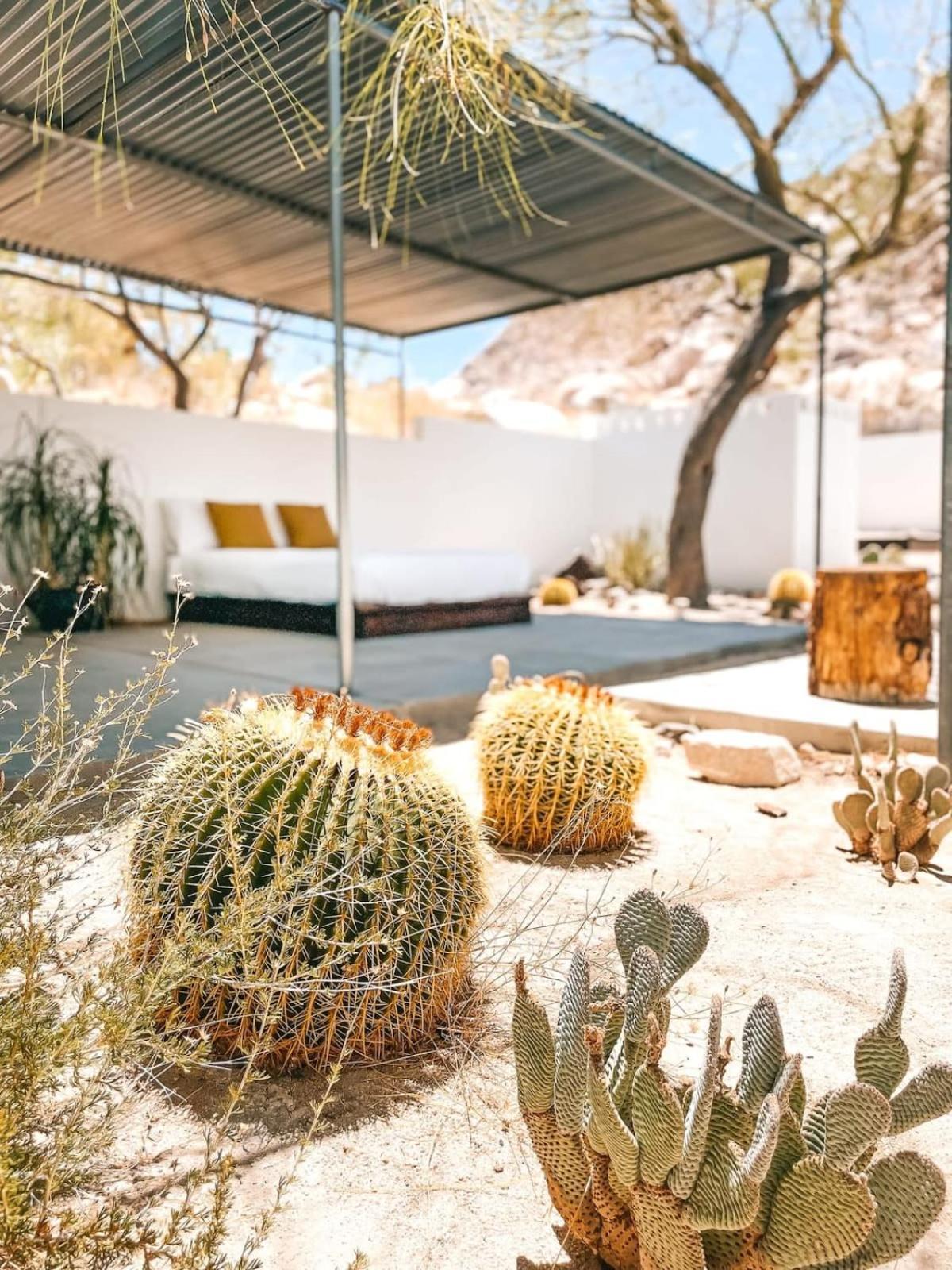 Andrea Zittel'S Joshua Tree Home A Z West House المظهر الخارجي الصورة
